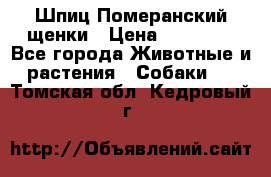 Шпиц Померанский щенки › Цена ­ 25 000 - Все города Животные и растения » Собаки   . Томская обл.,Кедровый г.